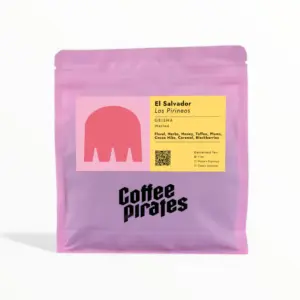 El Salvador Los Pirineos Geisha