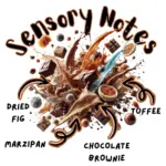 El Salvador Tato's Choice - Image 2